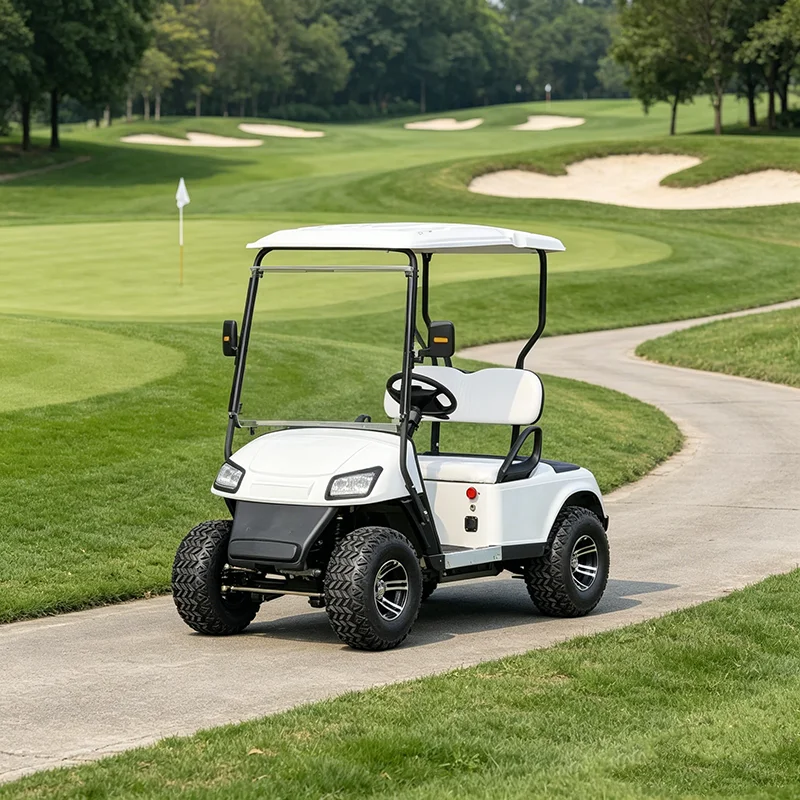 Voiturette de golf électrique de luxe 2 places, moteur 3,5 kW, véhicule utilitaire tout-terrain pour le transport en milieu touristique