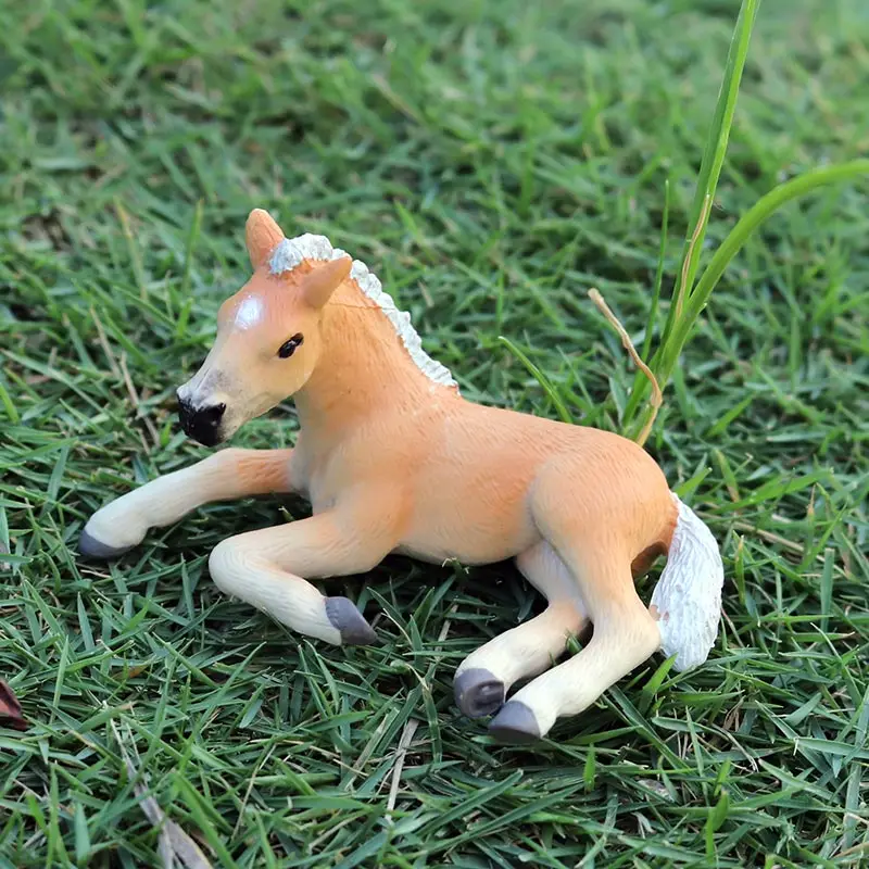Oenux Original Wild Animals Leopard Lion Model Action Figure Alpaca Peacock Spider Figurines Miniature Collection Toys For Kids