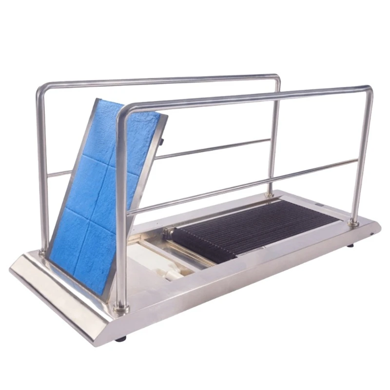 Turnstile entrance cleanroom and passageway air shower rooms are equipped with shoe sole cleaning machines