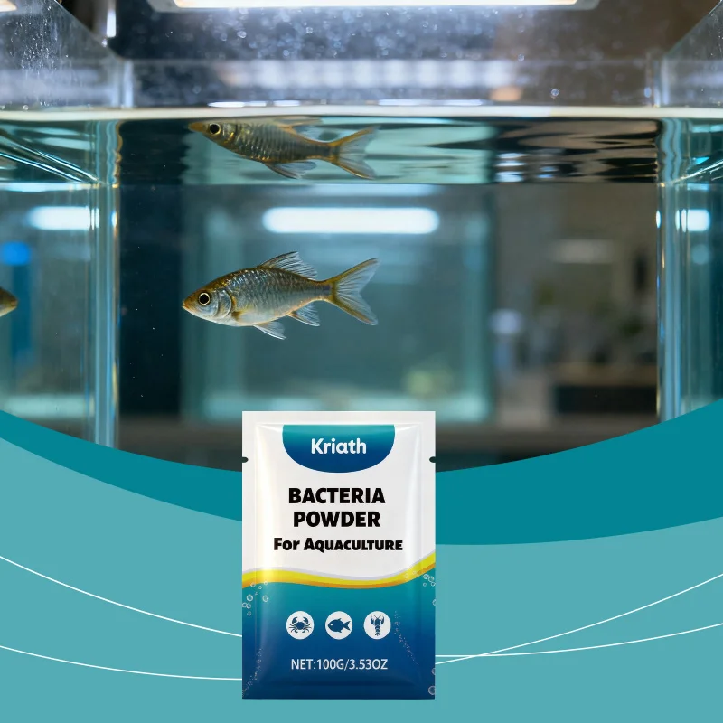 

Exfoliating Serum with Hydrating Care Properties Exfoliates Gently, Hydrates and Cares for Skin’s Natural Layer