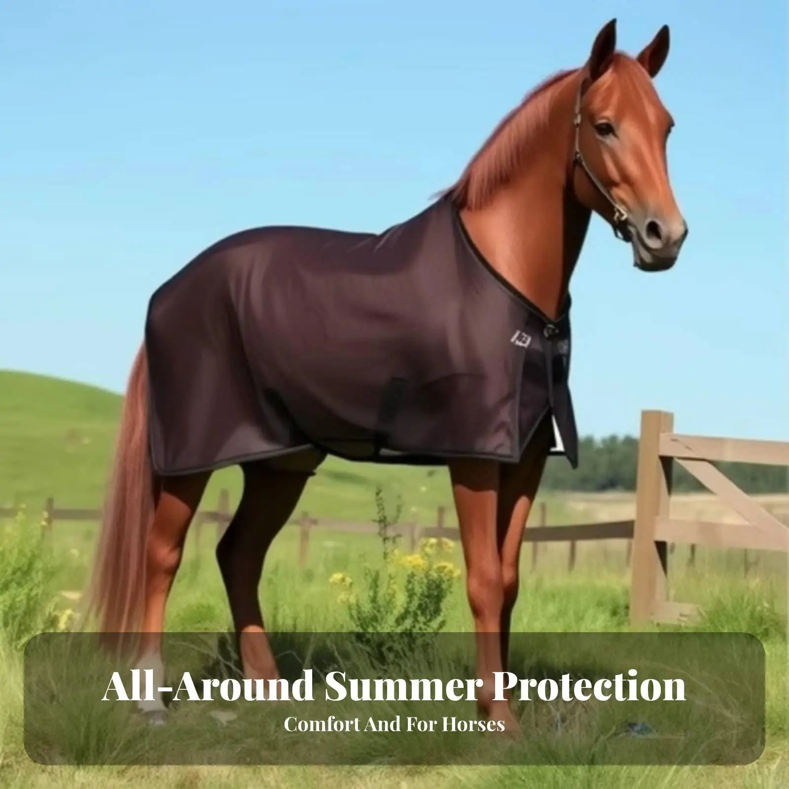 メッシュホースフライシート-サマーターンアウトラグ-通気性のある馬具-馬小屋用馬具