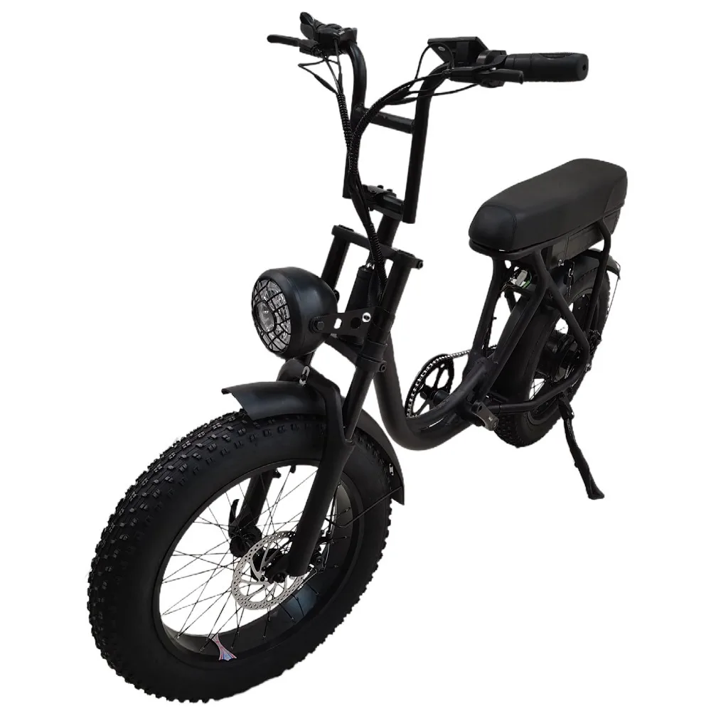 

2023 Fashion E-bike 48V 350W Adult Special Bike Ride Black Snow Quad Luxury Bike