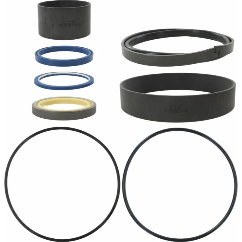 For Seal Kit 2450596 for CAT Several