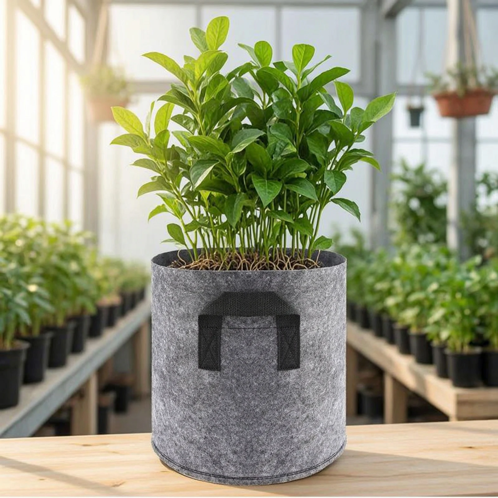 Textile Grow Bag Heavy Duty Nonwoven Grow Bag Textile Pot with Handles Reinforced Planter Wear-Resistant for Gardeners, Garden
