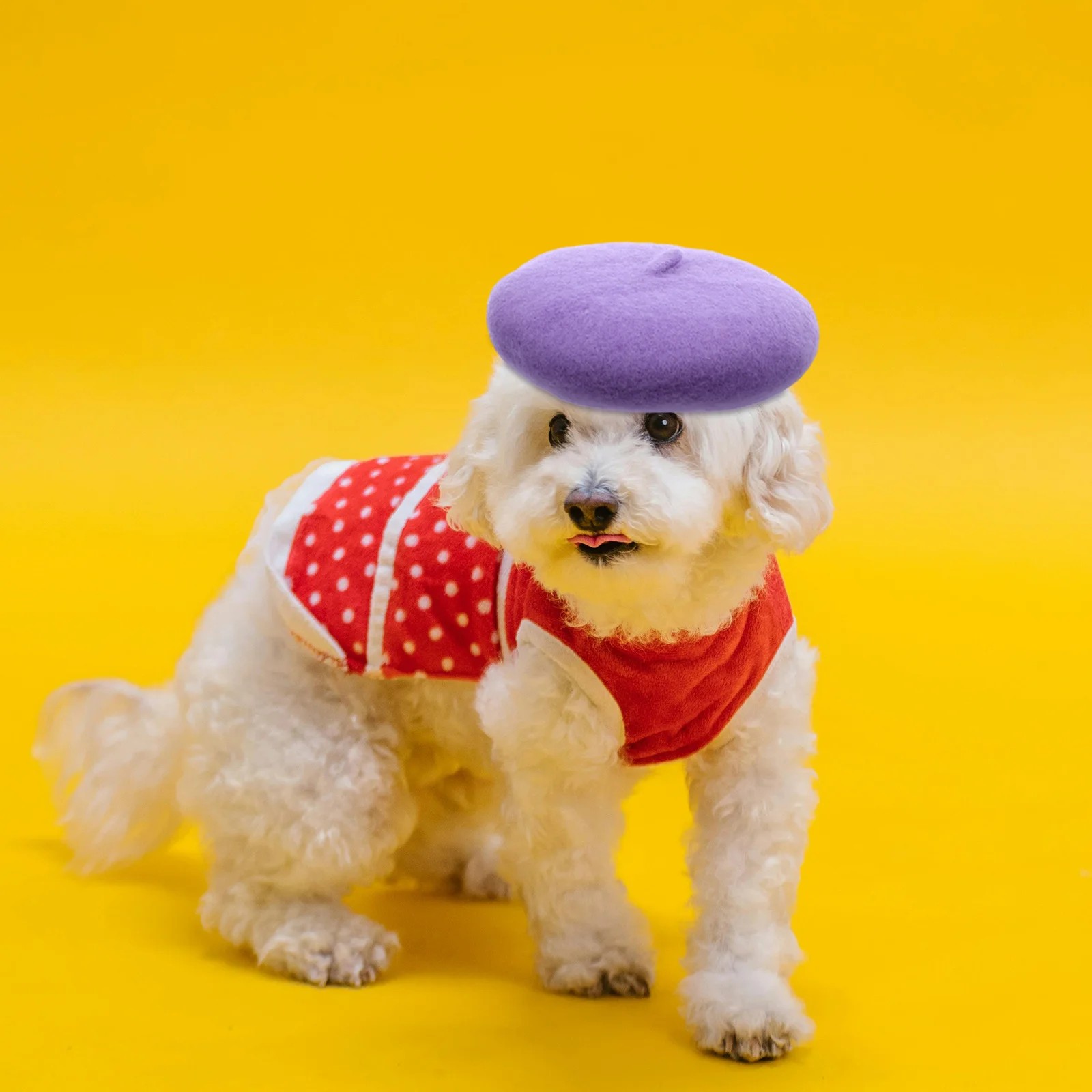 

Pet Beret Hat Soft Yarn Cap Small Size for Dogs Cats Holiday Party Photo Session Hat for Cap Cat Headwear