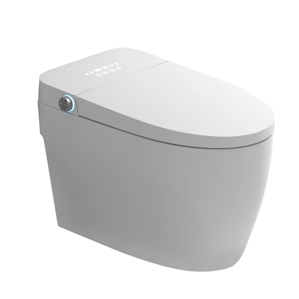 

Luxury Modern Toilet Accessories Sanitary Ware Automatic Ceramic Intelligent Japanese Smart Toilet Seat Multicolored