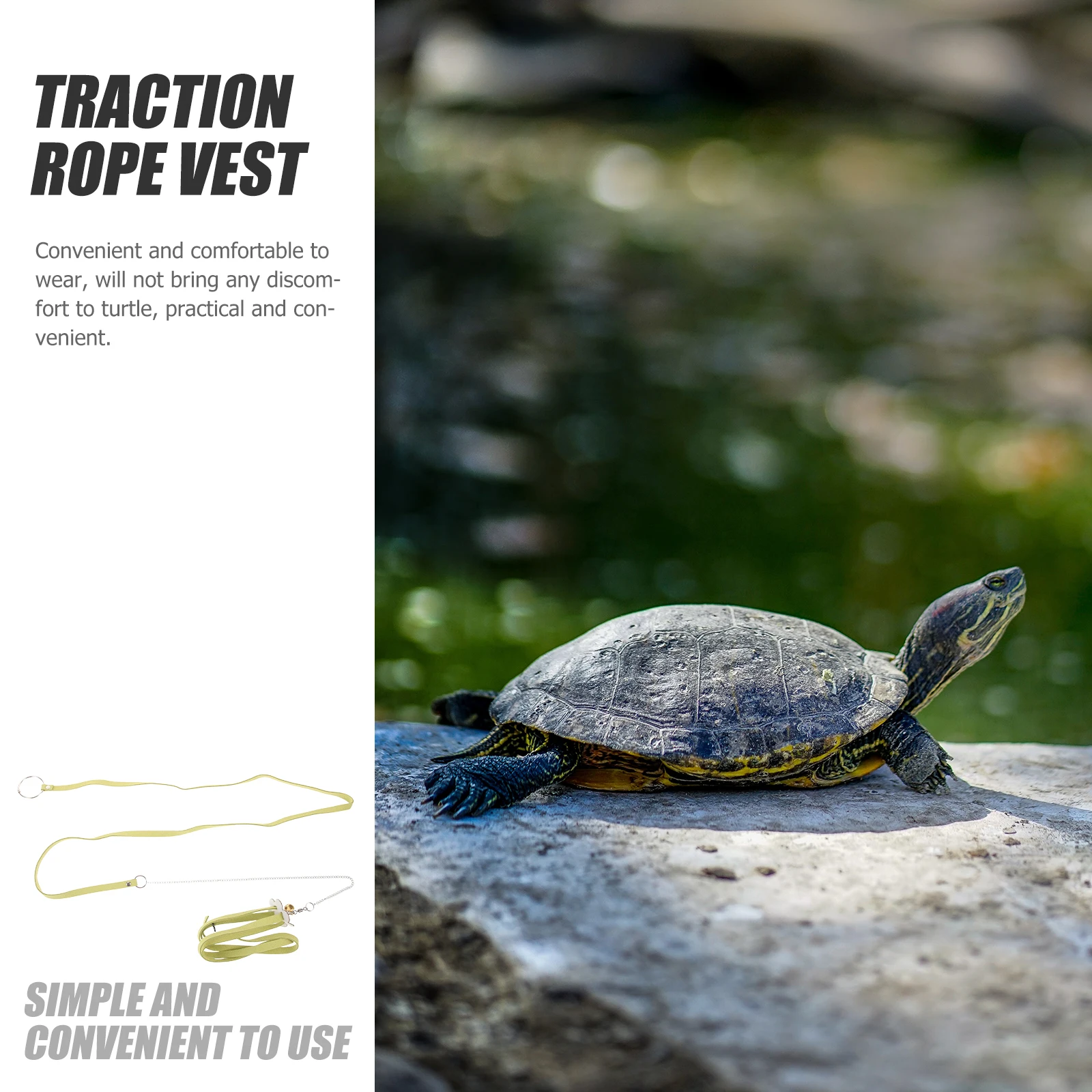 

Premium Turtle Harness Leash Portable Tortoise Walking Rope Adjustable Microfiber Pet Control Strap For Indoor Outdoor
