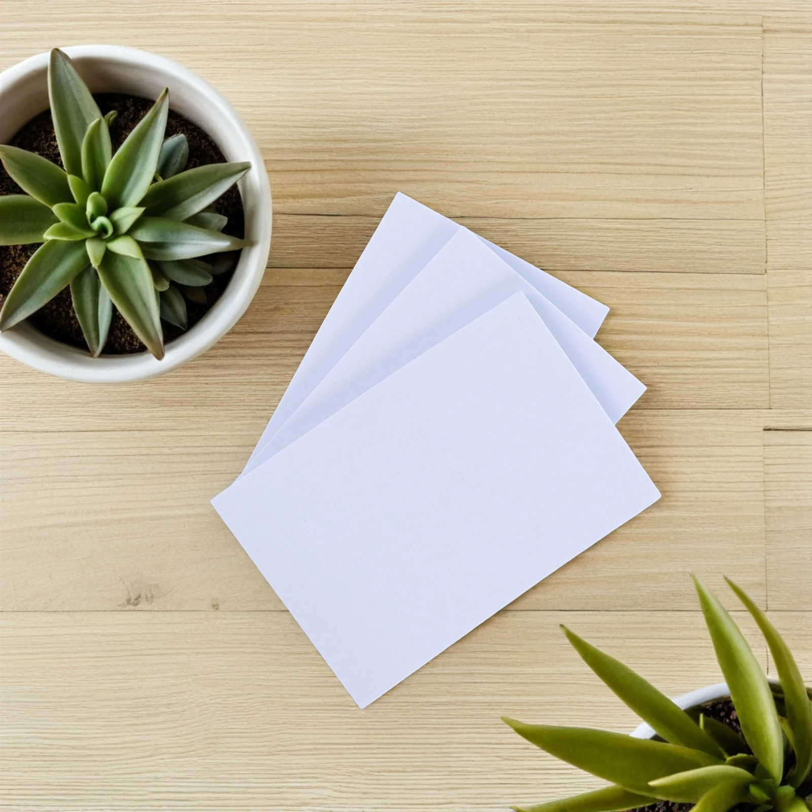 3pcs Insect Specimen Board Eva Foam Lightweight Portable For Entomology Teaching Research Science Project Butterfly Spreading