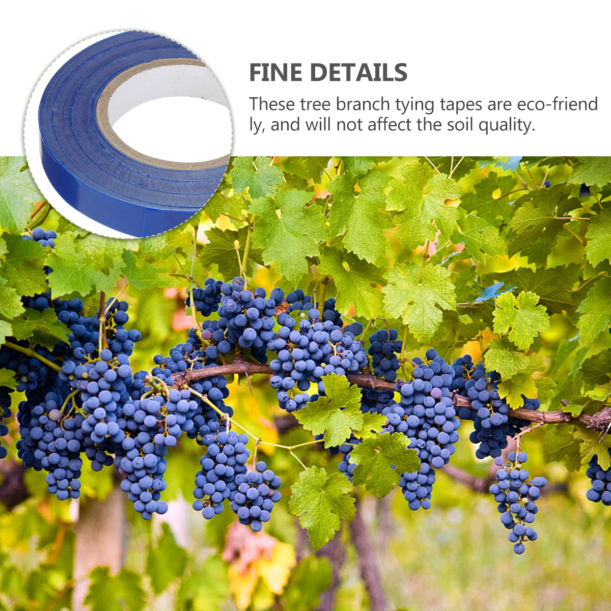 

10pcs 10 Rolls Blue PE Plant Ties 30m per Roll Gardening Tape for Plants Tomatoes Peppers Suitable Gardens Vines Flowers