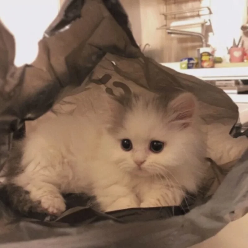 Kit di aggiornamento in metallo per FeiShen FS 1/8 TANK, SHARKS, Cheetah, ATOM, Leopard, Thunder, parti di automobili RC