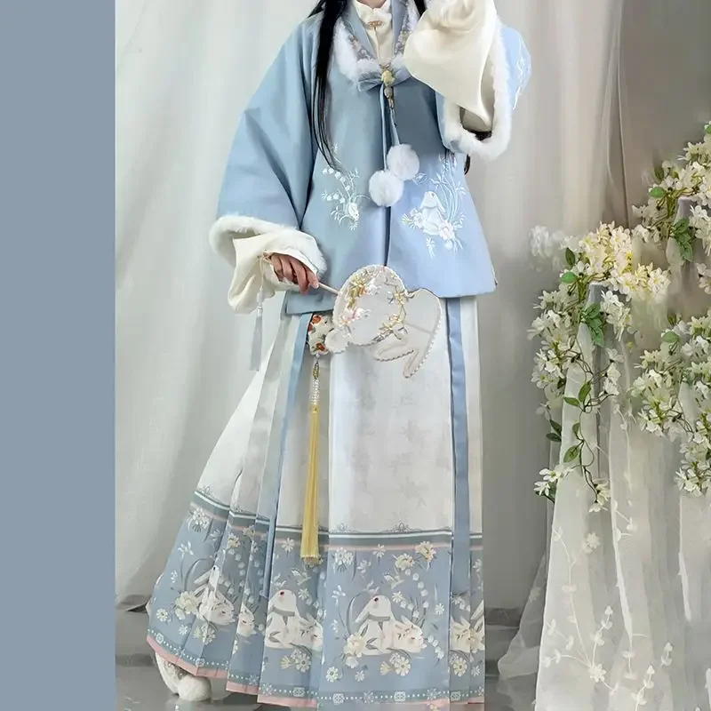 

Новинка 2023 года, зимняя юбка с конским лицом, оригинальное китайское традиционное платье ханьфу, 2 цвета, пальто с пышными краями династии Мин, классическое женское пальто