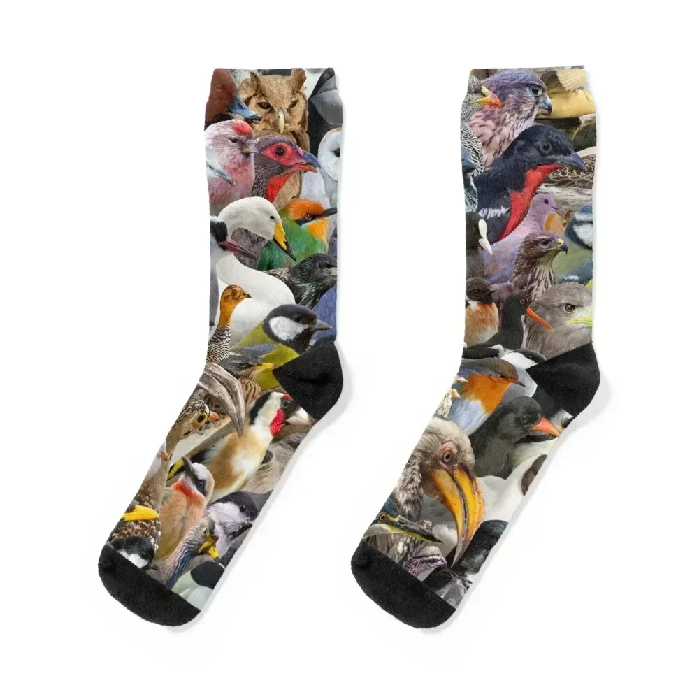 

Just Birds Socks floor fashionable anti slip football funny gifts Women Socks Men's