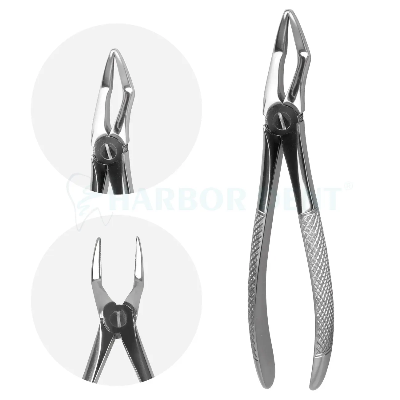 10Pcs/Set Dental Extraction Forceps Kit for Adults Tooth Elevator / Pliers Set Dentist Surgical Instruments Oral Surgery Tools - Image 3
