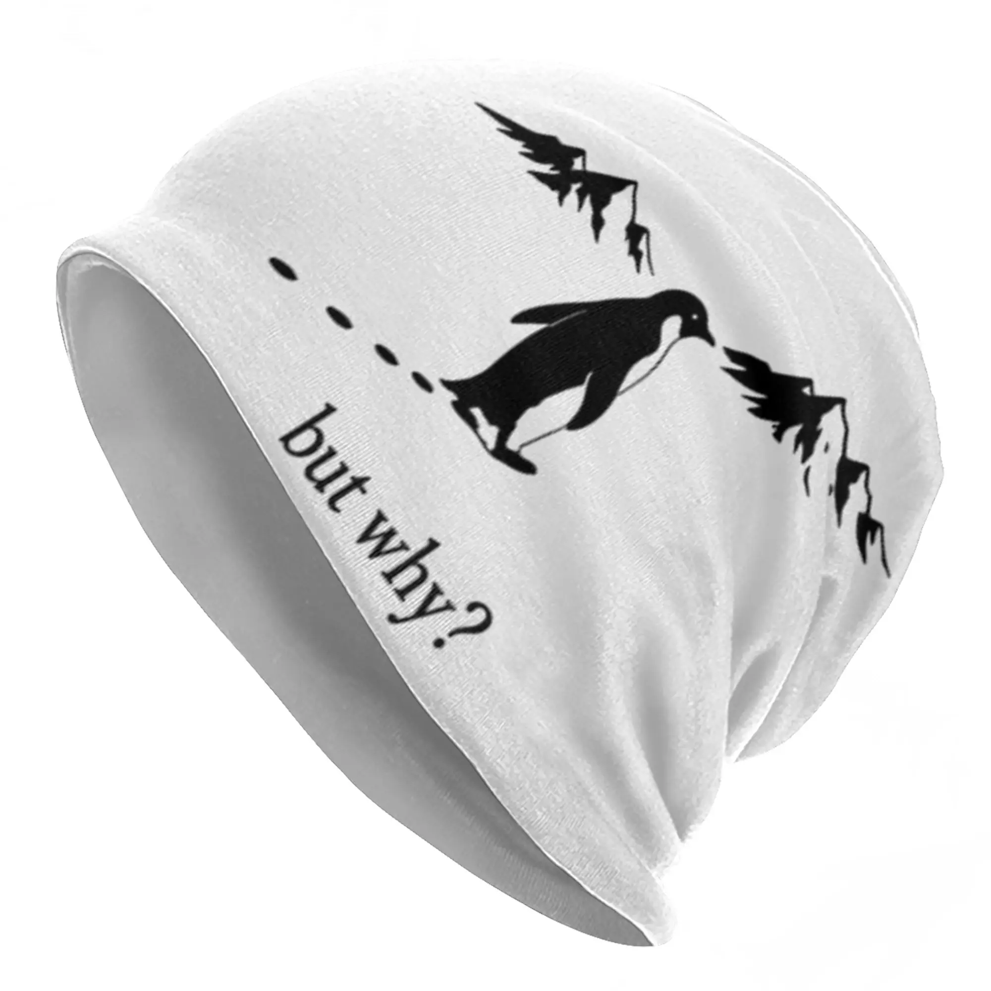 But Why Nihilist Pe…