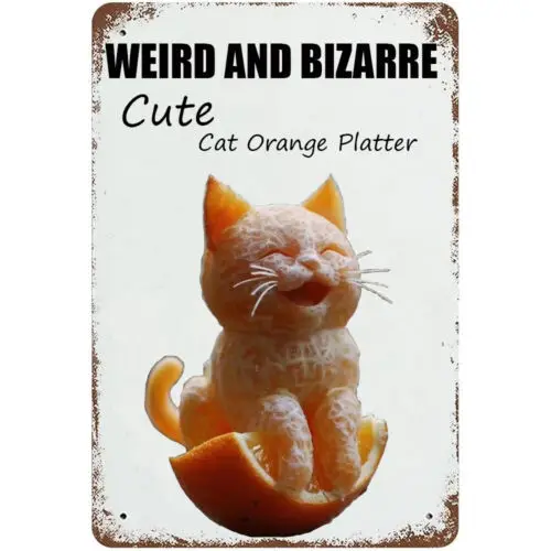 Cute Cat Fruit Platter Metal Vintage Tin Sign for Home Coffee Wall Decor Cafe sign