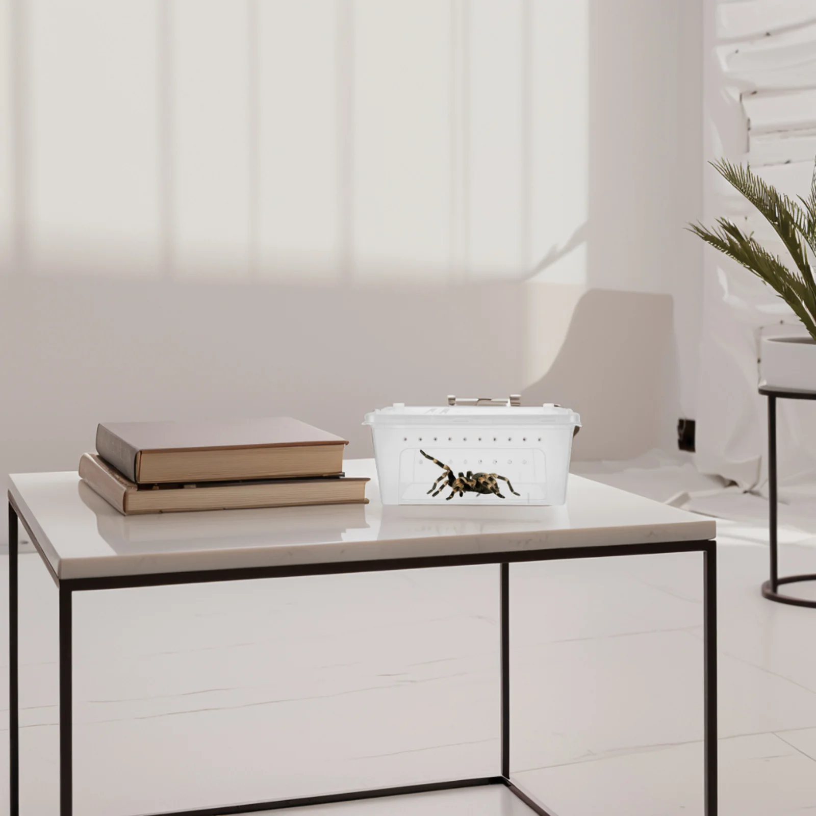 

Spider Habitat Cage Multifunctional Escape Proof Breeding Box For Tarantula Scorpion Lizard Frog Reptile Enclosure Abs