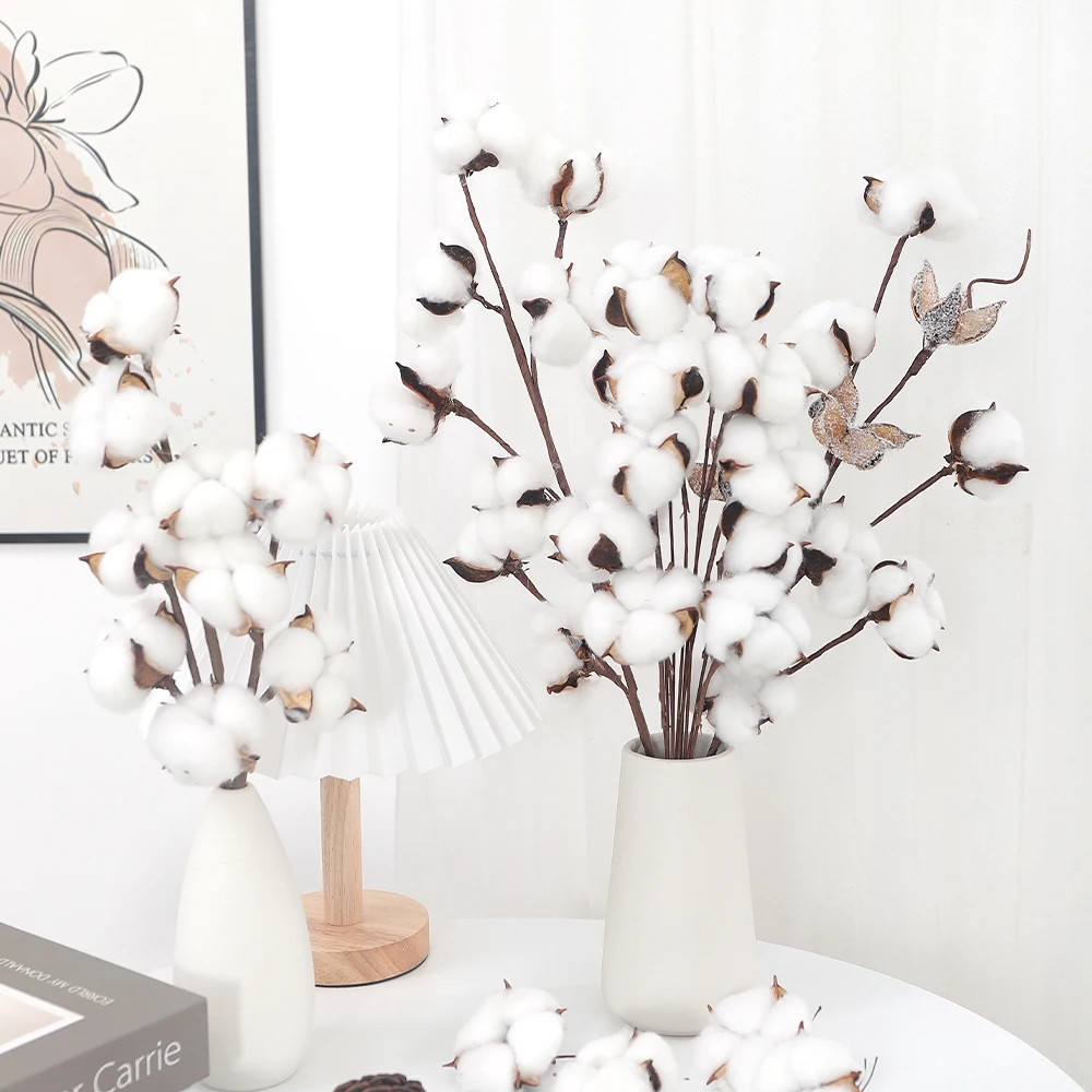 yZ[z10̃JtȑԁiRbgwbhjƓVRhCt[ - z[/a/NX}X̑DIYK[h[X