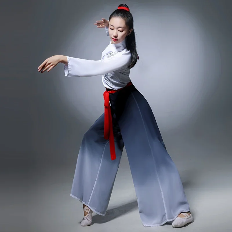 Traditionelles chinesisches Volkstanzkostüm für Damen, Yangge-Kleidung, für Erwachsene, elegante klassische Nationalkostüme, quadratischer Hanfu-Tanz