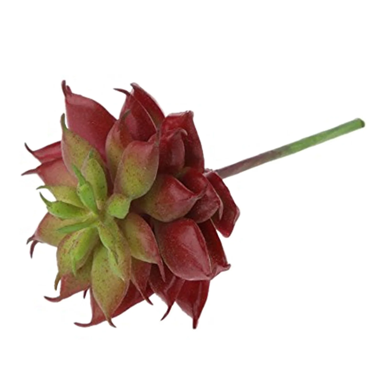 

Realistic Artificial Succulent Plants Reddish Brown Unpotted Plastic Fake Cactus For Home Office Decor Garden Charm