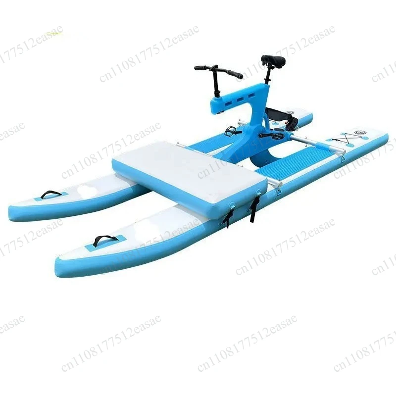 Unpowered Pedal Water Bicycle Amusement Boat, Interactive Sightseeing Entertainment Equipment For Water Park Lake Scenic Spot