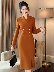 New Ladies Work Style Formal Occasion Pencil Dresses Women Clothing Elegant Office Commute Long Sleeve Slim Dress Robe Vestidos
