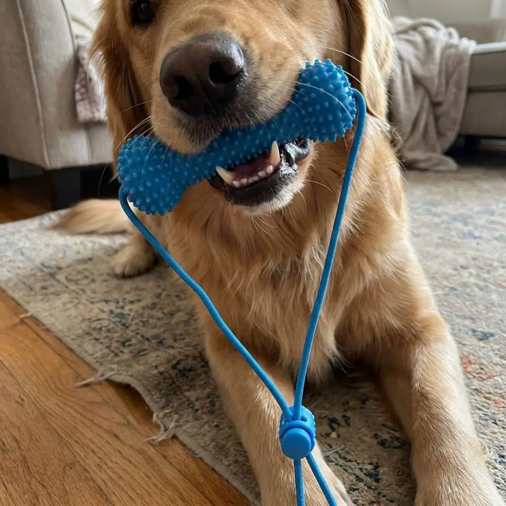 Bite-Resistant Dog Teething Stick Anti-choking Chew-resistant Pet Teeth Cleaning with Rope Dog Chew Stick Interactive Tug