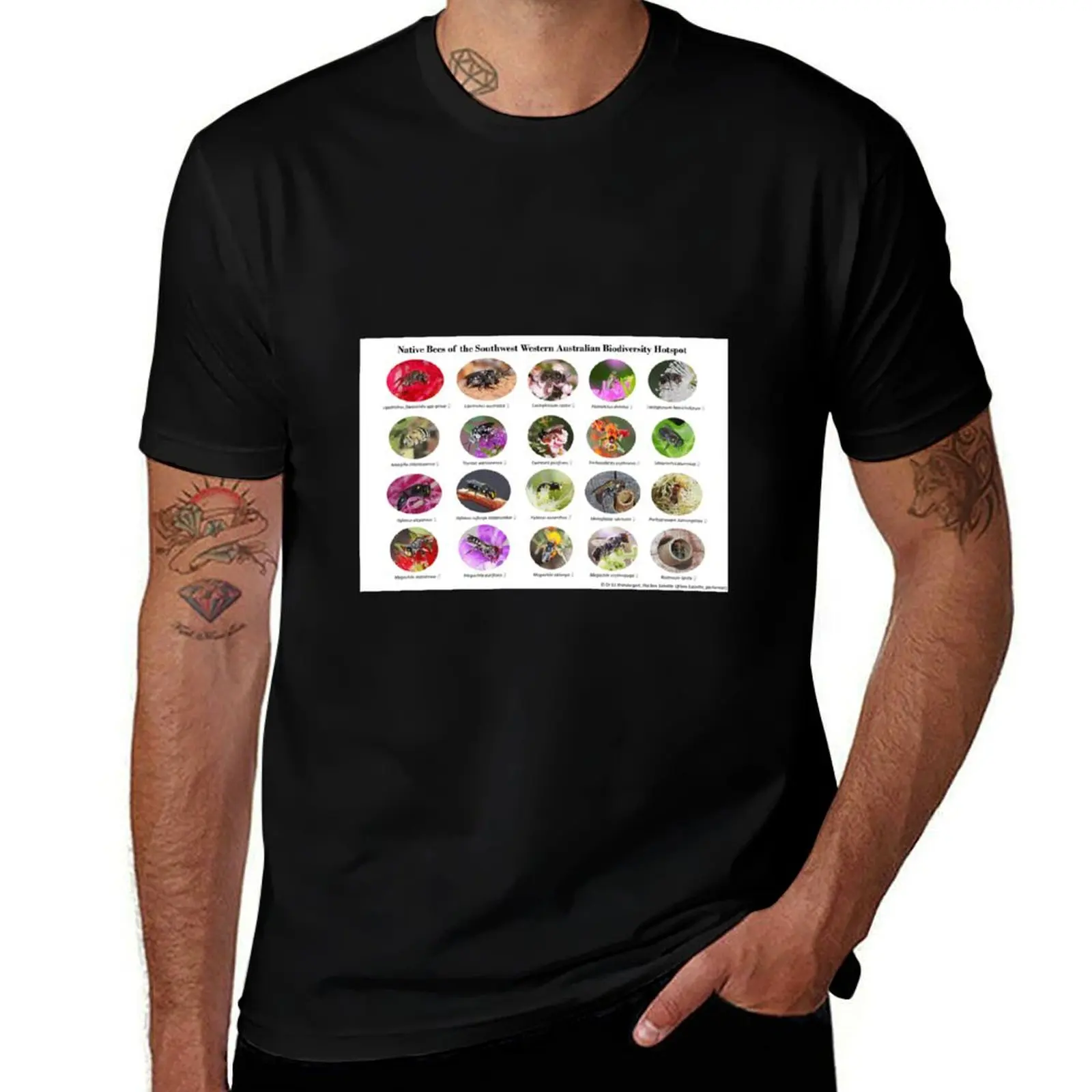 Native Bees of the Southwest Western Australian Biodiversity Hotspot T-Shirt All Match Print Short Sleeve Top