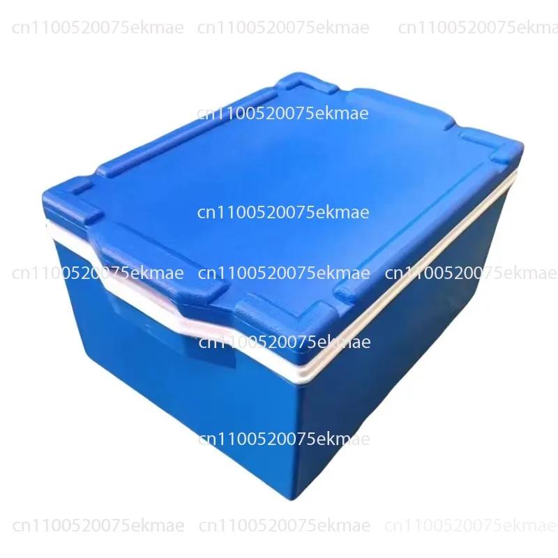 Environmentally Friendly and Reusable Insulated Sushi Box Can Hold 5 Trays, Blue and White, High-density PP Material