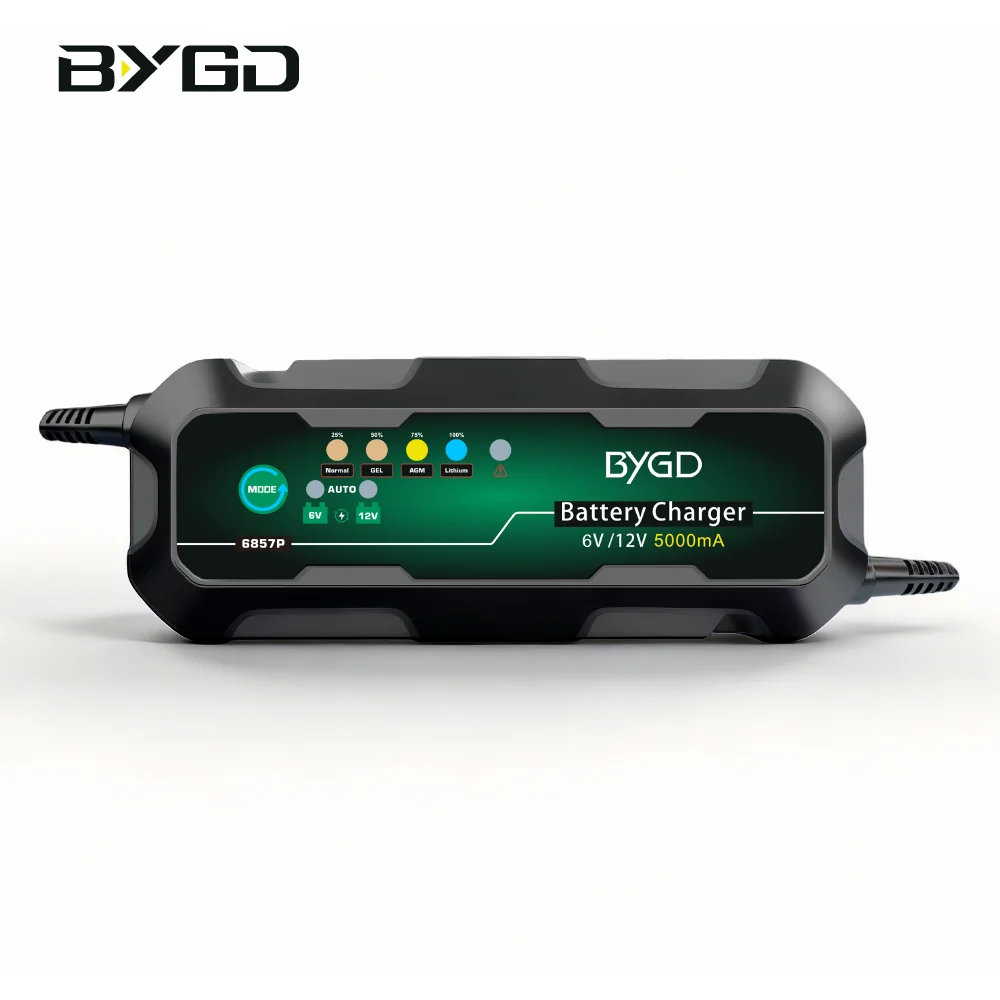 Portable 6v/12v5a Car Battery Charger High Power Fully Automatic Intelligent Lithium Battery Charger Electric Scooter Ce 5A 60W