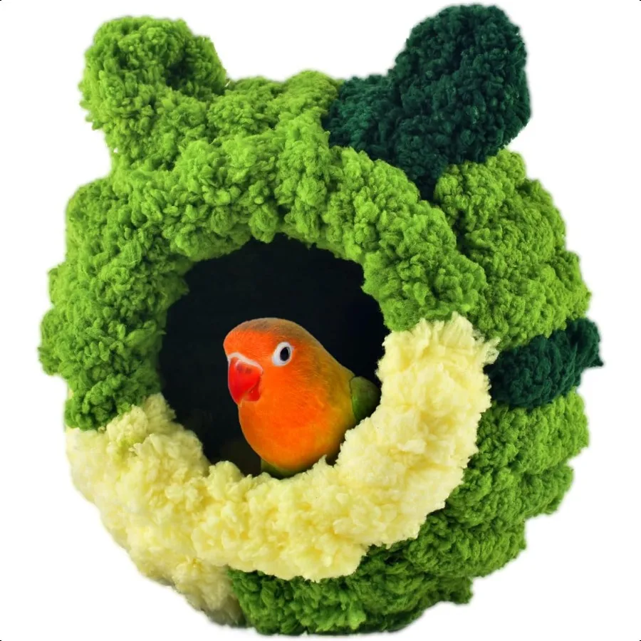 Bird Nest Little Su… - image