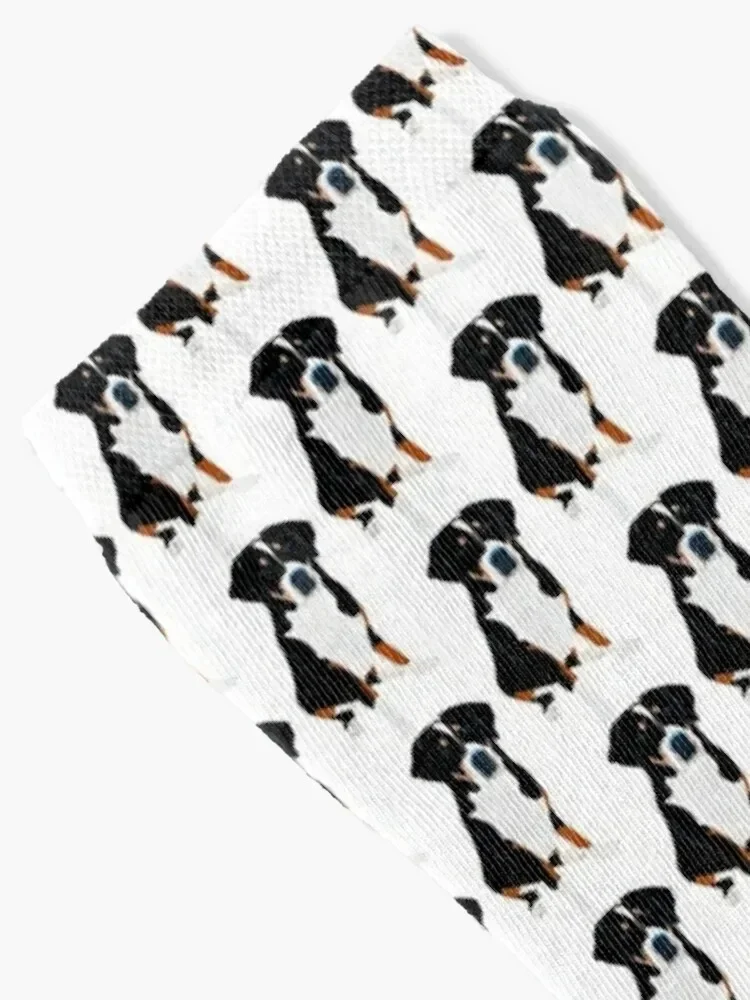 Greater Swiss Mountain Dog Art Socks Crossfit snow new year Socks Women's Men's