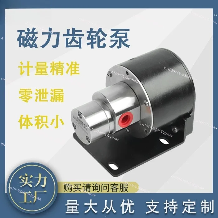Miniature Metering Self-priming Printing Stainless Steel Head Diesel Pumping Coffee Machine Inkjet Printer Magnetic Drive Gear