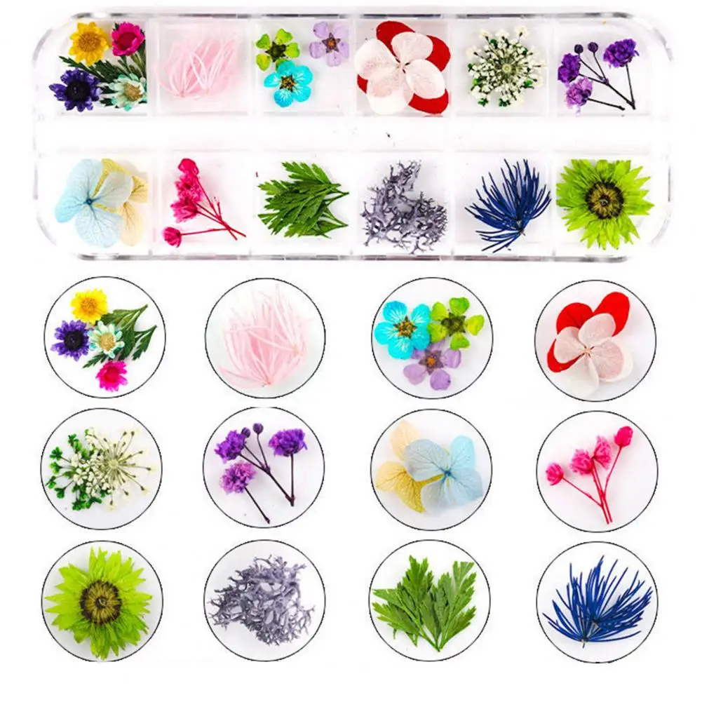 Dry Flower Manicure Deco Vibrant Floral Nail Art Supplies 12 Colors of Natural Dried Flower Charms for Manicure Uv Gel Polish