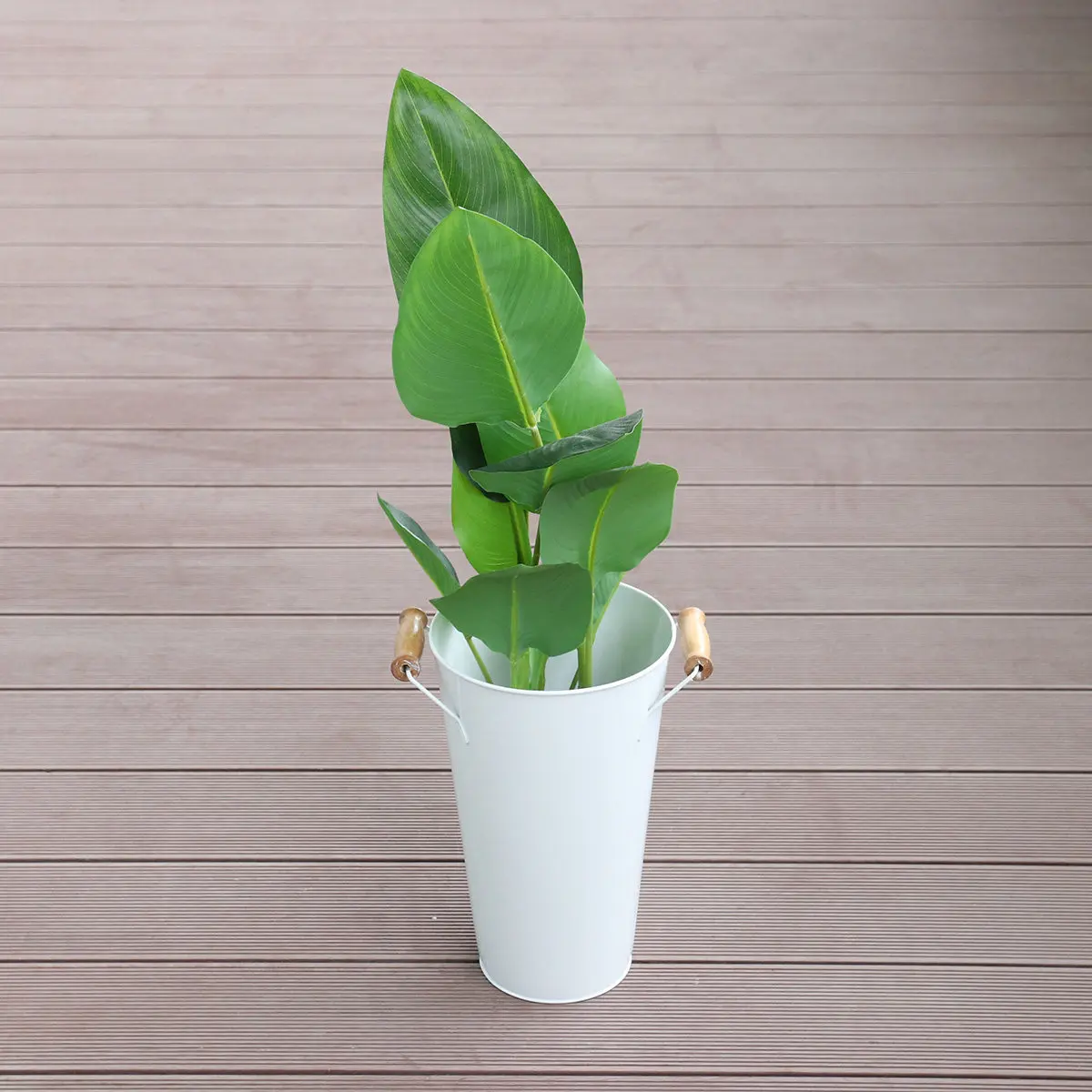 Wrought Iron Flower Vase Desktop Mini Planter Pot for Succulents Cactus Aloe Vera African Violets Home Office Decor Wedding