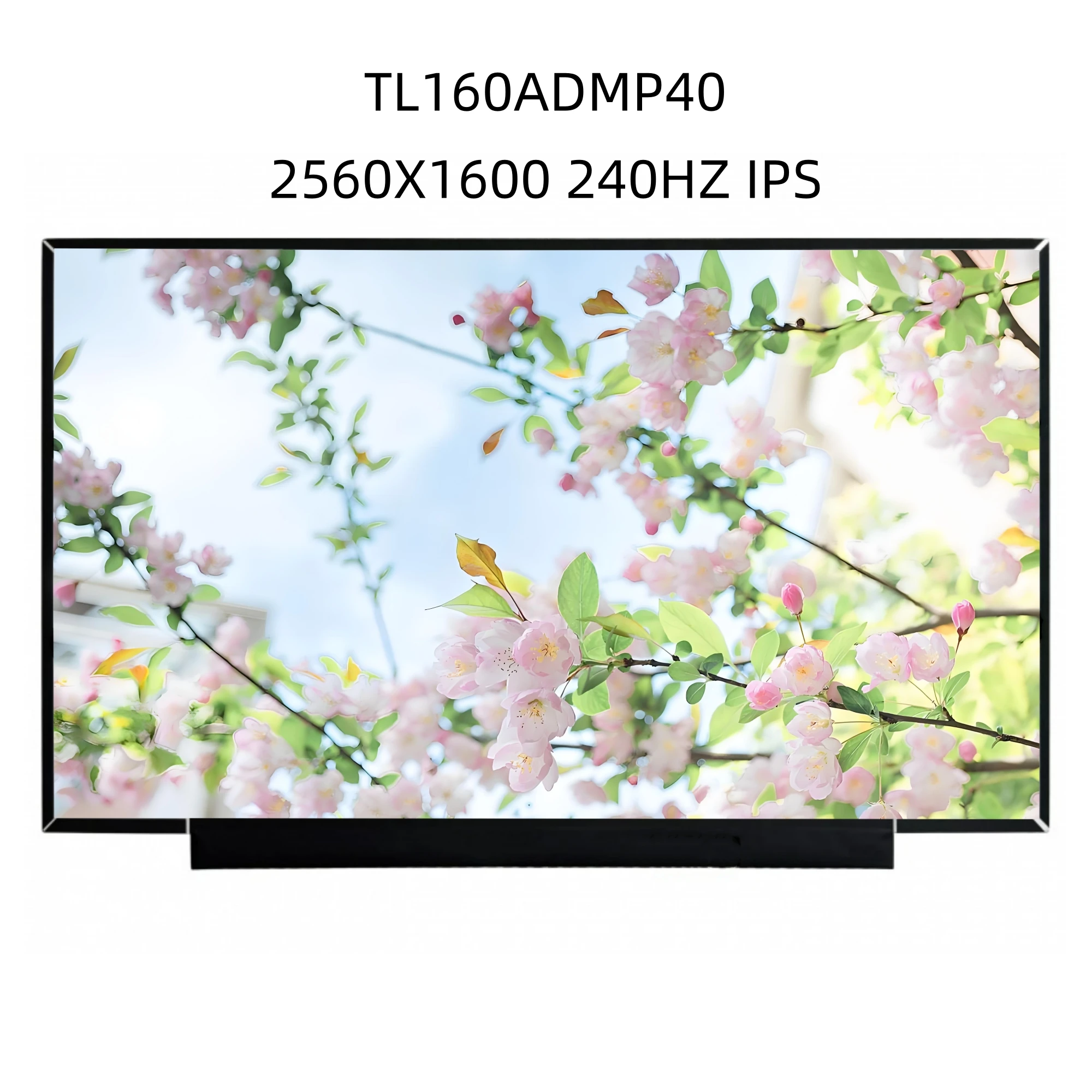 TL160ADMP40 IPS 16 Inch Laptop LCD Screen Display Matrix 2560X1600 240HZ