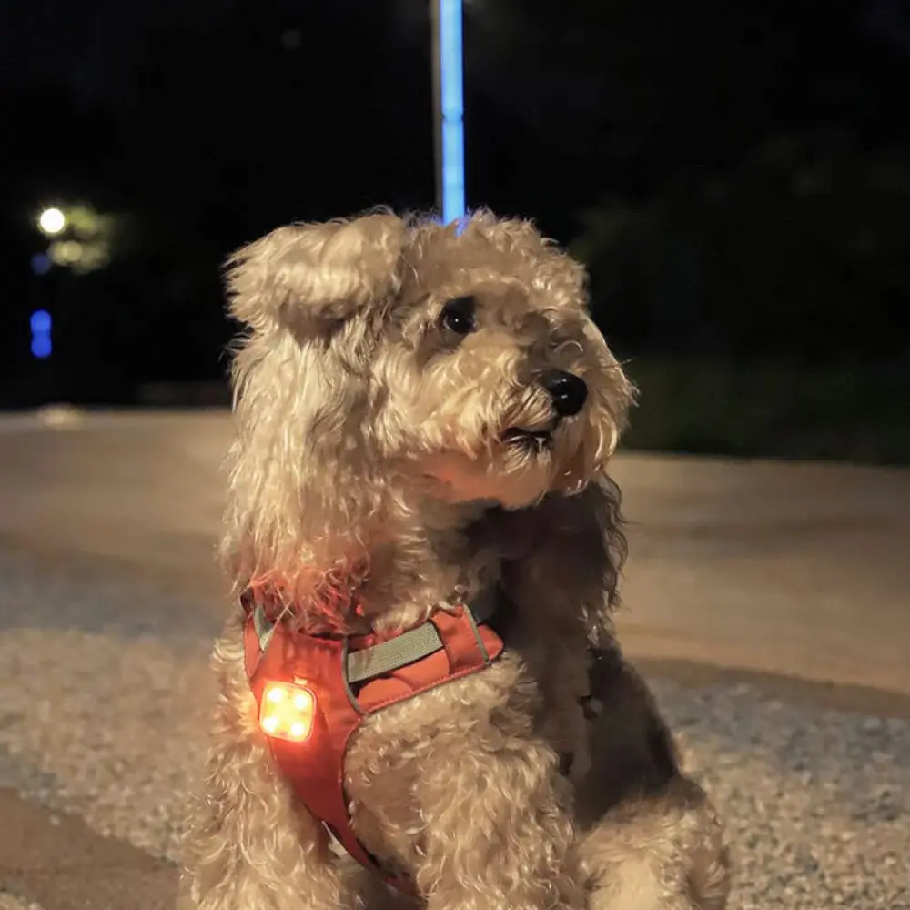 LED Pet Collar Pendant Safety Light Night Walking Glow Marker Flashing Accessory Tag For Dogs And Cats