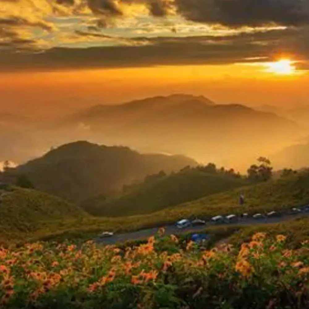 

DSPOWER 3KG Clutch Gear Building Block Servo TTL Programmable 3-7V for Closed-loop Control Speed Kid Adult Toy Gift DIY Parts