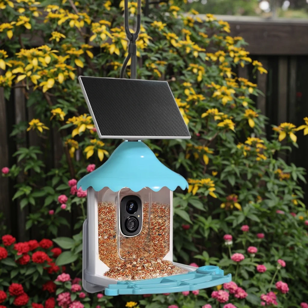 Solar Powered AI Intelligent Camera for Real-time Video Smart Bird Feeder