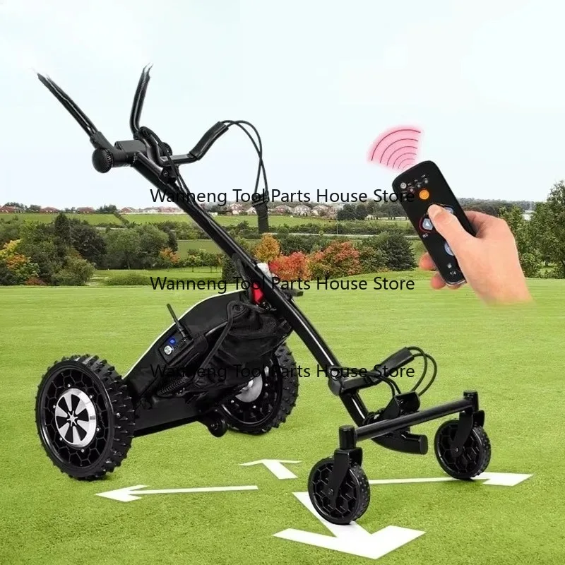 Custom Foldable Remote Control Electric Golf Cart