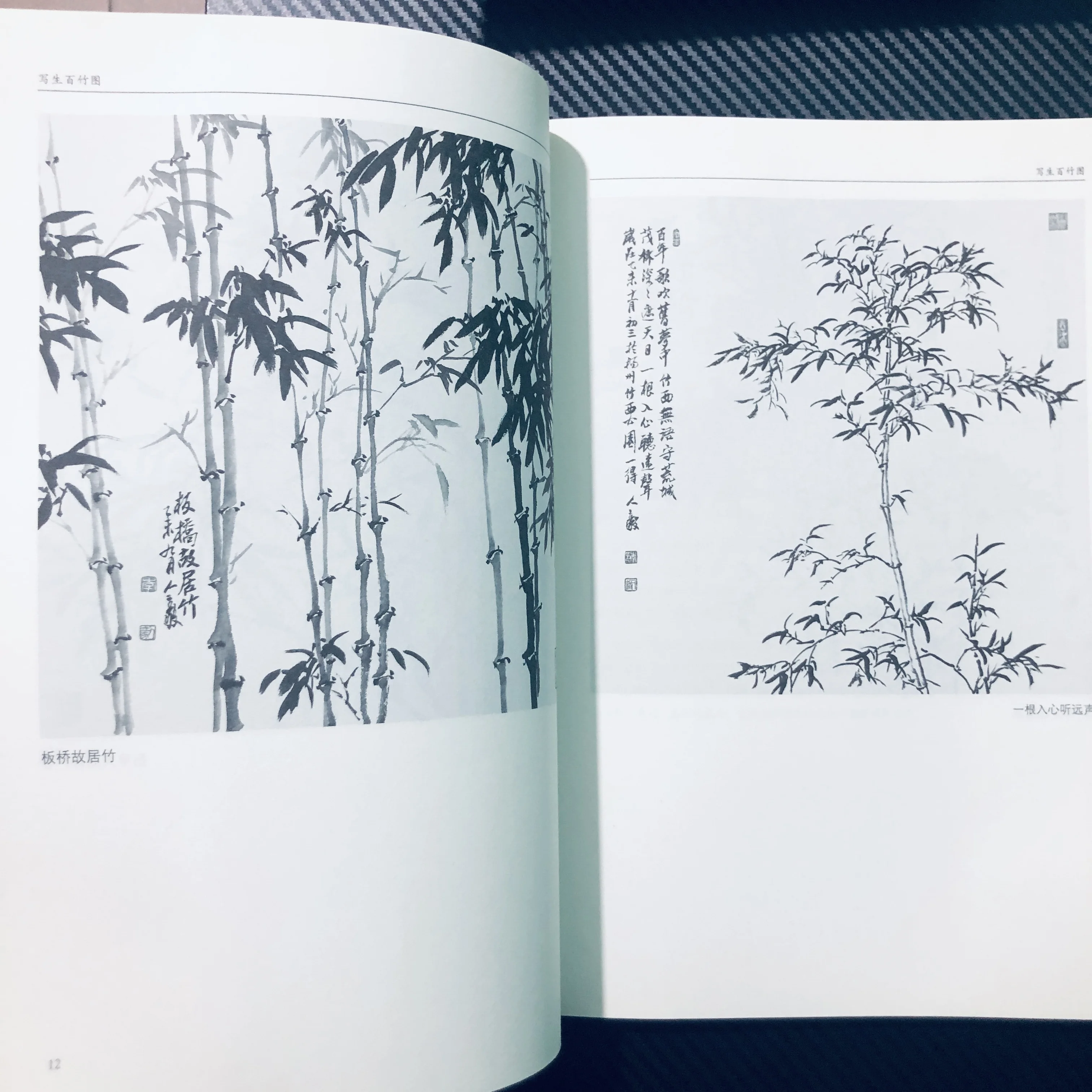 100 Bamboo Sketches: Botanical Drawing Techniques with Ink Wash & Composition Guide