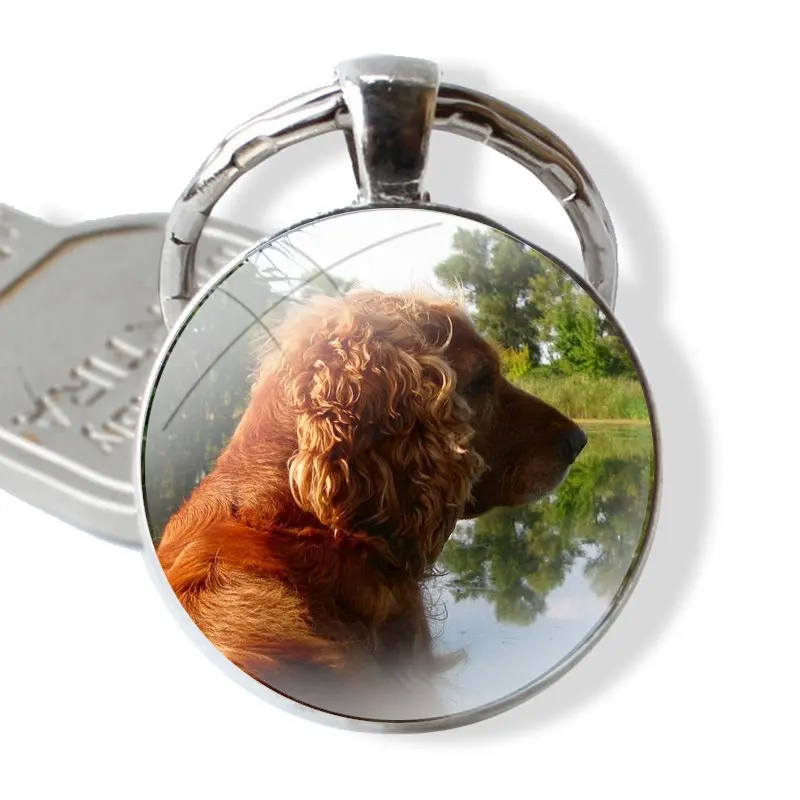 glass cabochon keychain Car key chain Charms keychains Gifts TPU Transparent Cover harper cocker spaniel hellip dog puppies Cute