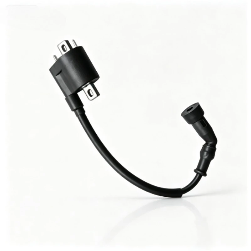 ignition-coil-ignitor-for-brixton-felsberg-125-motorcycle-accessories