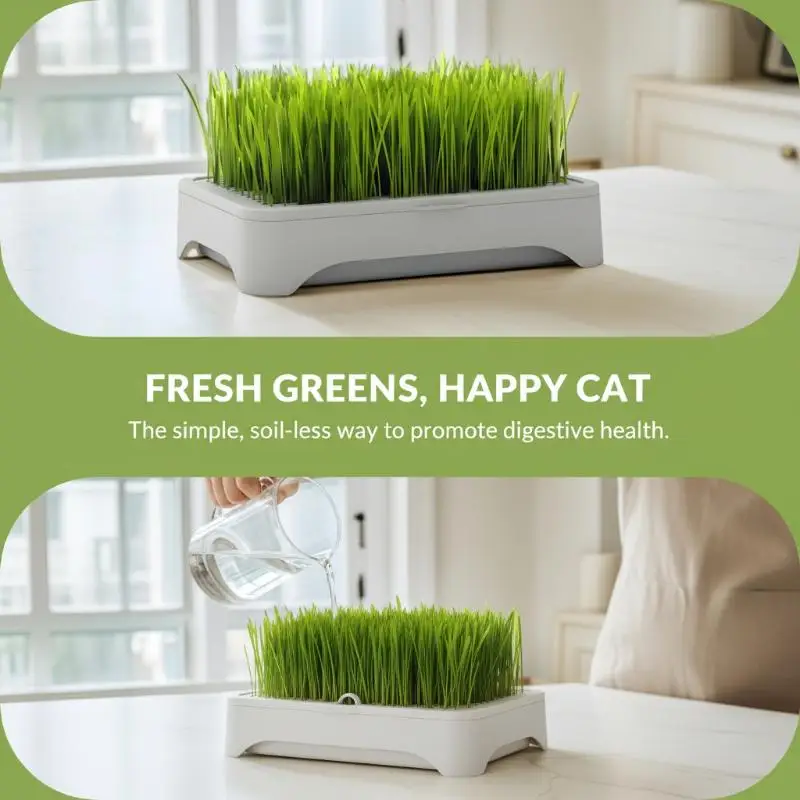 1PC Plastic Cat Grass Planter 14.5cm Soilless Hydroponic Growing Durable Indoor For Wheatgrass Oat Grass Kit Accessories