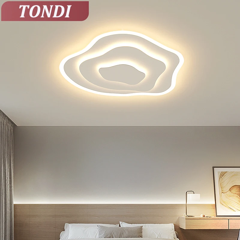Modern LED Ceiling Lamp For Living Dining Room Study Bedroom Geometry Ceiling Lights Indoor Home Decor Lighting Fixture Luster