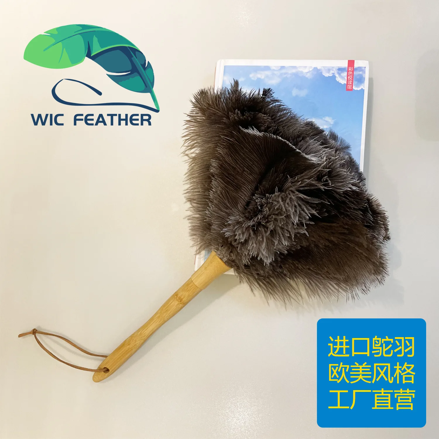 Good quality Wood handle ostrich feather small duster for car and computer or antique cleaning