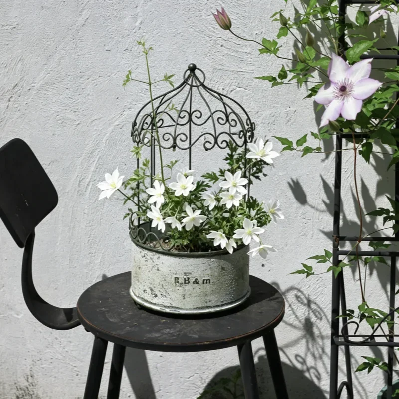 Exported to Japan, retro and old wrought iron bird cage flower pot, iron flower with small climbing frame
