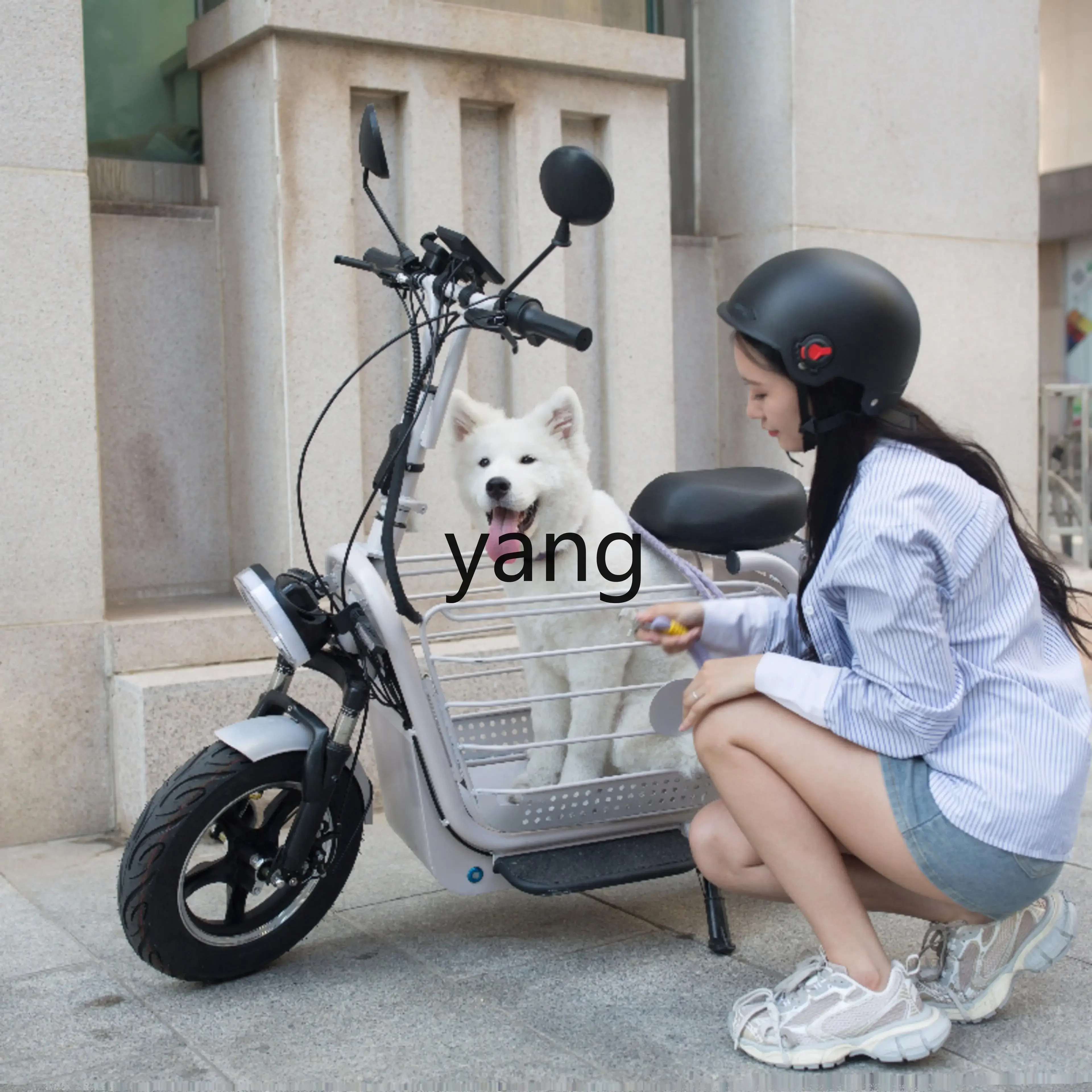 YJQ can take pet dogs, walk dogs, take babies, and women's lightweight folding battery cars