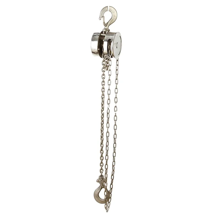 Chain Hoist Manual Hand Chain Hoist Stainless Steel Cheap Price 1T 7M Provided Gear Mini Speaker for Restaurant 10 PCS 1 Ton
