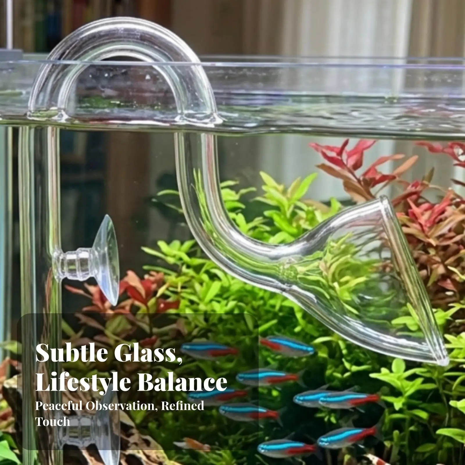 Aquarium Filter Inlet and Outlet Transparent Aquarium Lily Pipe Set Lily Pipes Slim for Aquascapers, Planted Tanks