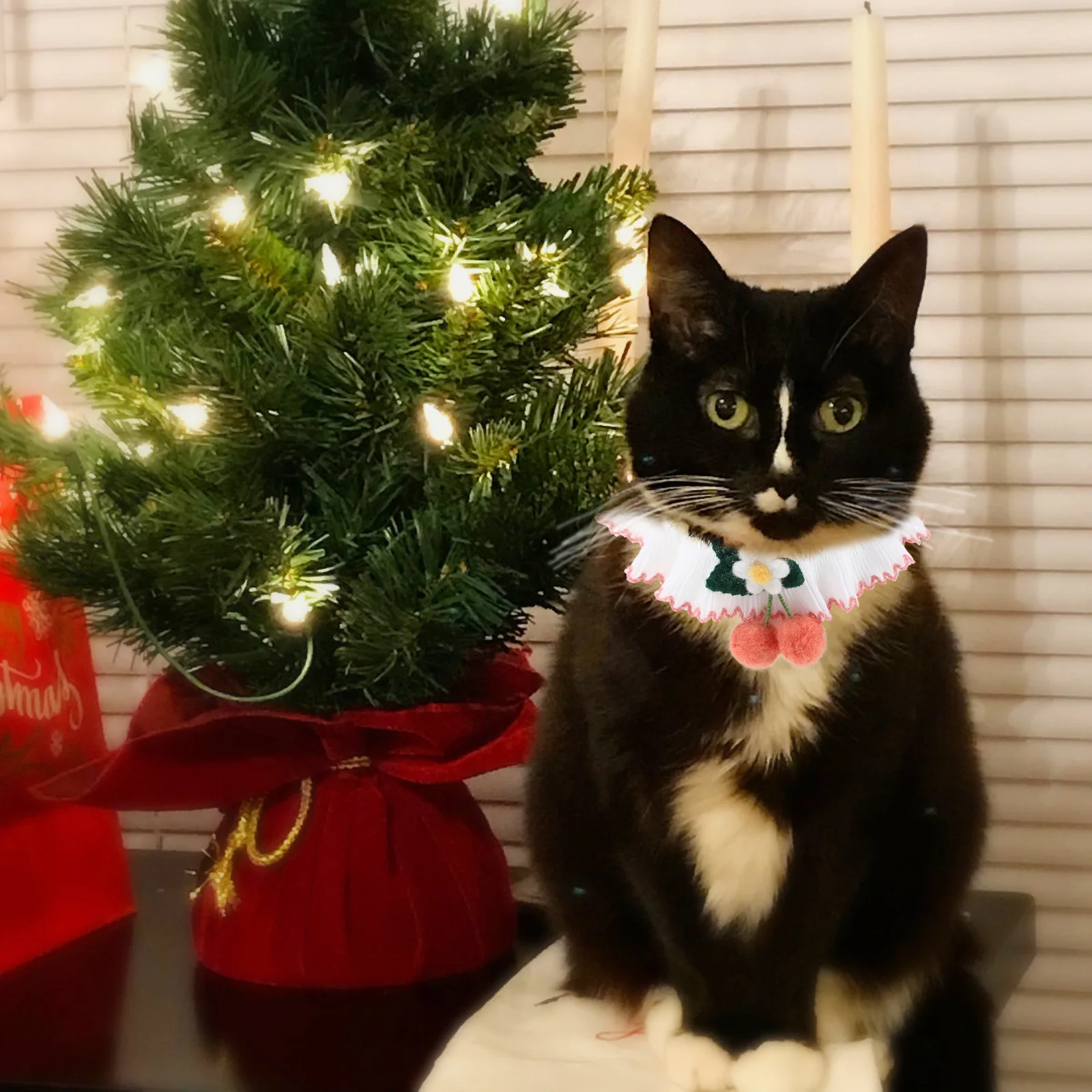 

Adorable Lace Pet Collar Adjustable Cat Dog Necklace Decorative Kitten Puppy Neckwear Chic Design Comfortable Durable